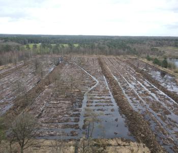 Ronde Put te Mol-Postel